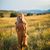Jordan Ashleigh's profile image