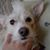 Richard Vizuete's profile image