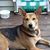 Marie Libersky's profile image