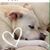 Dawn Duffy's profile image