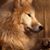 Lee Farkas's profile image