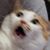 Keith Johnson's profile image