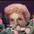 Nancy Callahan Robinson's profile image