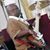 Darnell 'Biggpopp' Watson Sr's profile image