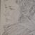 Jamie Heeringa Witte's profile image