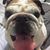 Tony Bommarito's profile image