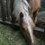 Sarah Beth Abbott's profile image