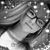 Miranda Haveard's profile image