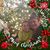Ranae Cushway's profile image