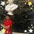 Sandra Nangoi's profile image