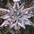 Cathy Shipp's profile image
