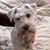 Posie Kramer's profile image