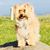 Jean Donaldson's profile image