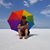 Deborah Lynne Putnam's profile image