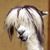 Autumn Beckman's profile image