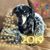 Barb Bamford Rypstra's profile image