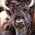 Daryl Purscell's profile image