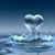 Donna Clark's profile image