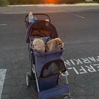 Jessica Sanchez Sutton's profile image
