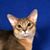 Linda Knuutinen's profile image