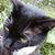Elaine Ross's profile image