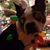 Shirley Woodham's profile image