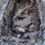 Nicole Dubrow's profile image
