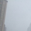 Jinny R.'s profile image