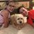 Jill Slimick Myers's profile image