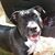 Morgie Faith's profile image