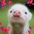Christine Jozwiak's profile image