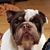 Craig L. Roberge's profile image