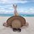 Thao Vi Bui's profile image