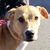 Kelly Cline Morris's profile image