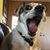 Rebecca Doud's profile image