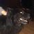 Becky Snell's profile image