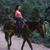 Angie Reyes's profile image