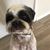 Edubina Rubio Morales's profile image