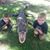 Sarah Conley Fritz's profile image