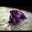 Diane Porter Gray's profile image