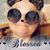 Sheila Tomey Whapham's profile image
