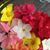 Silvana Martino Sgro's profile image
