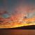 Sherry Hollingsworth's profile image