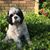 Christina Quirk Istre's profile image