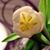 Sue Cee's profile image