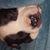 Leslie Ann's profile image