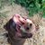 Carmen Gale Anders's profile image