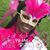 RaShunda Hall's profile image