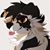 AJ Fox's profile image