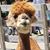 Charles Meserve's profile image